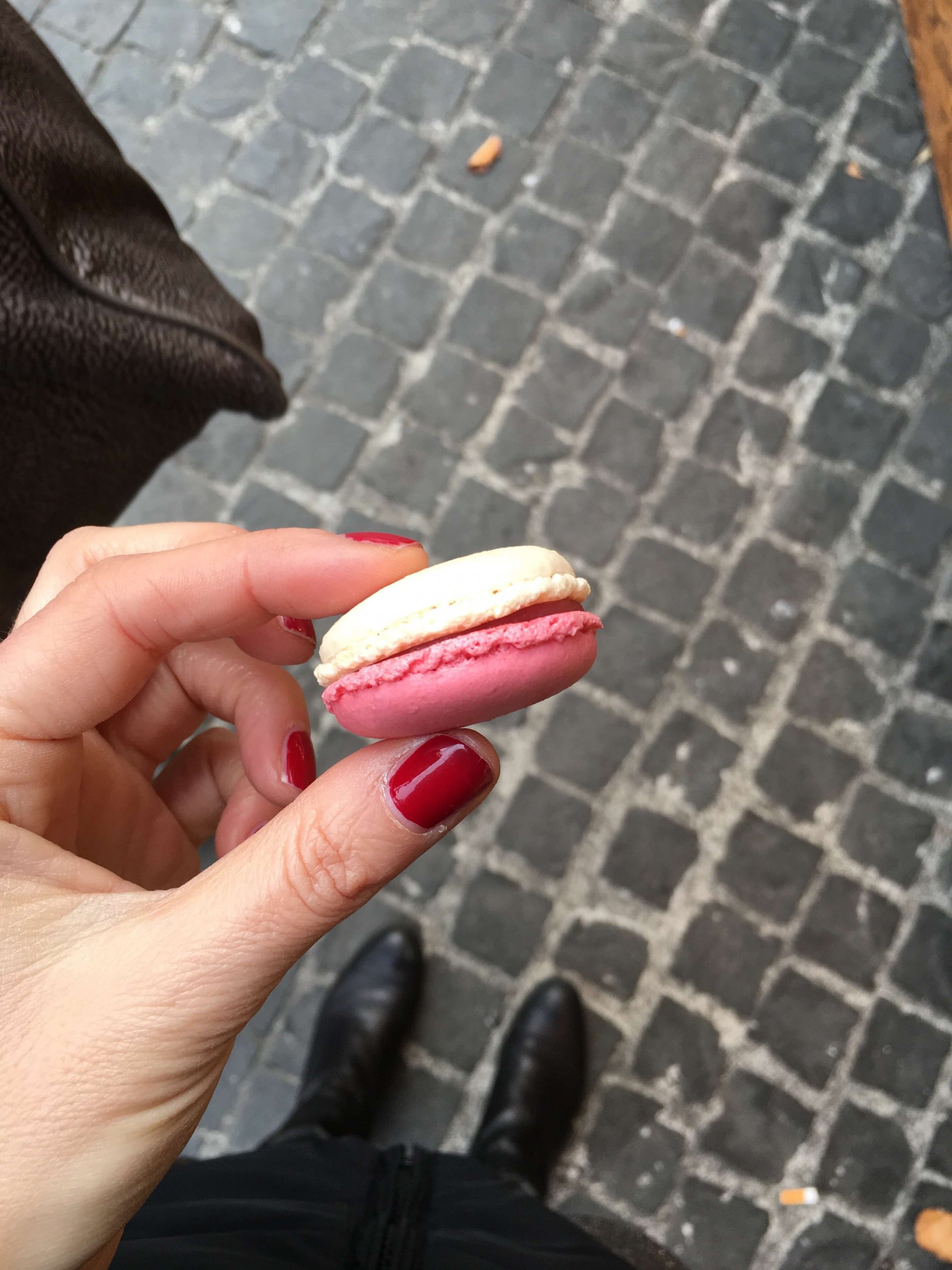 macaron Bologna