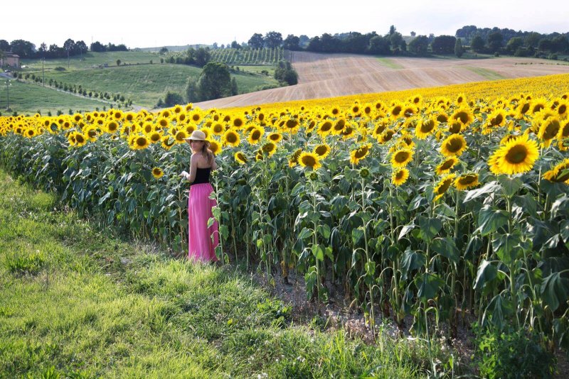 Valeria foto girasoli Bologna