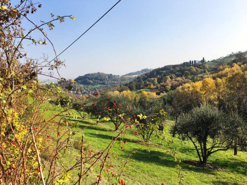 panorama-parco-villa-ghigi-bologna