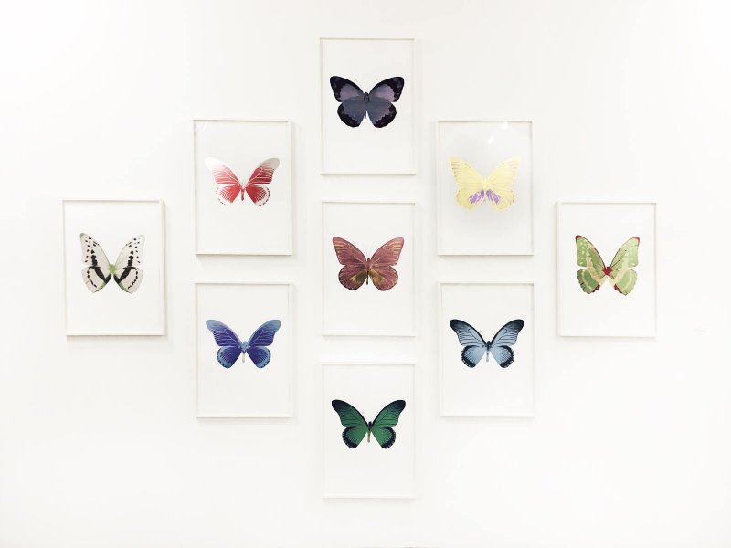 Farfalle quadri Arte fiera bologna 2017
