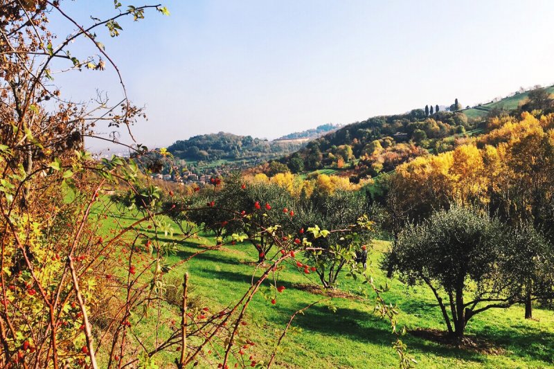 Parco Villa Ghigi Bologna autunno
