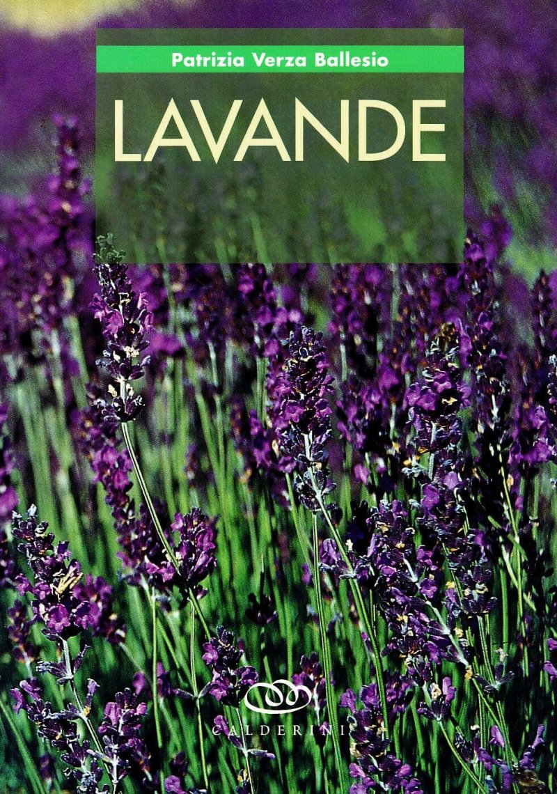 libro sulla lavanda