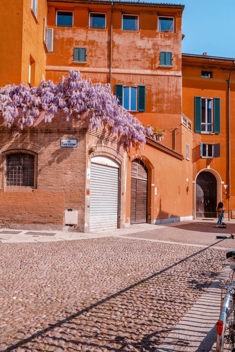 Glicine Piazza Santo Stefano Bologna