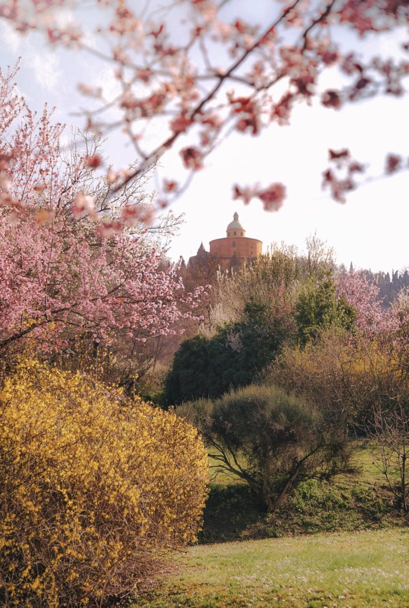 Bologna primavera