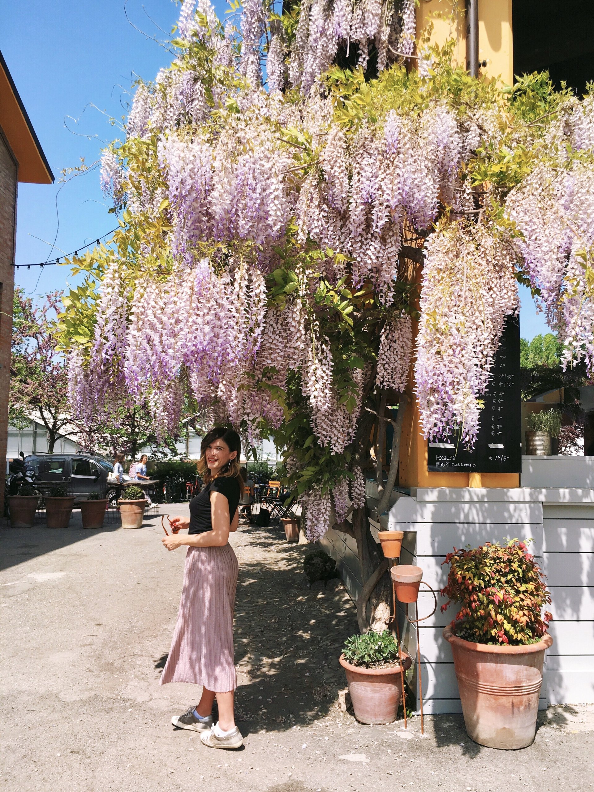 Glicine Serre Giardini Margherita Bologna