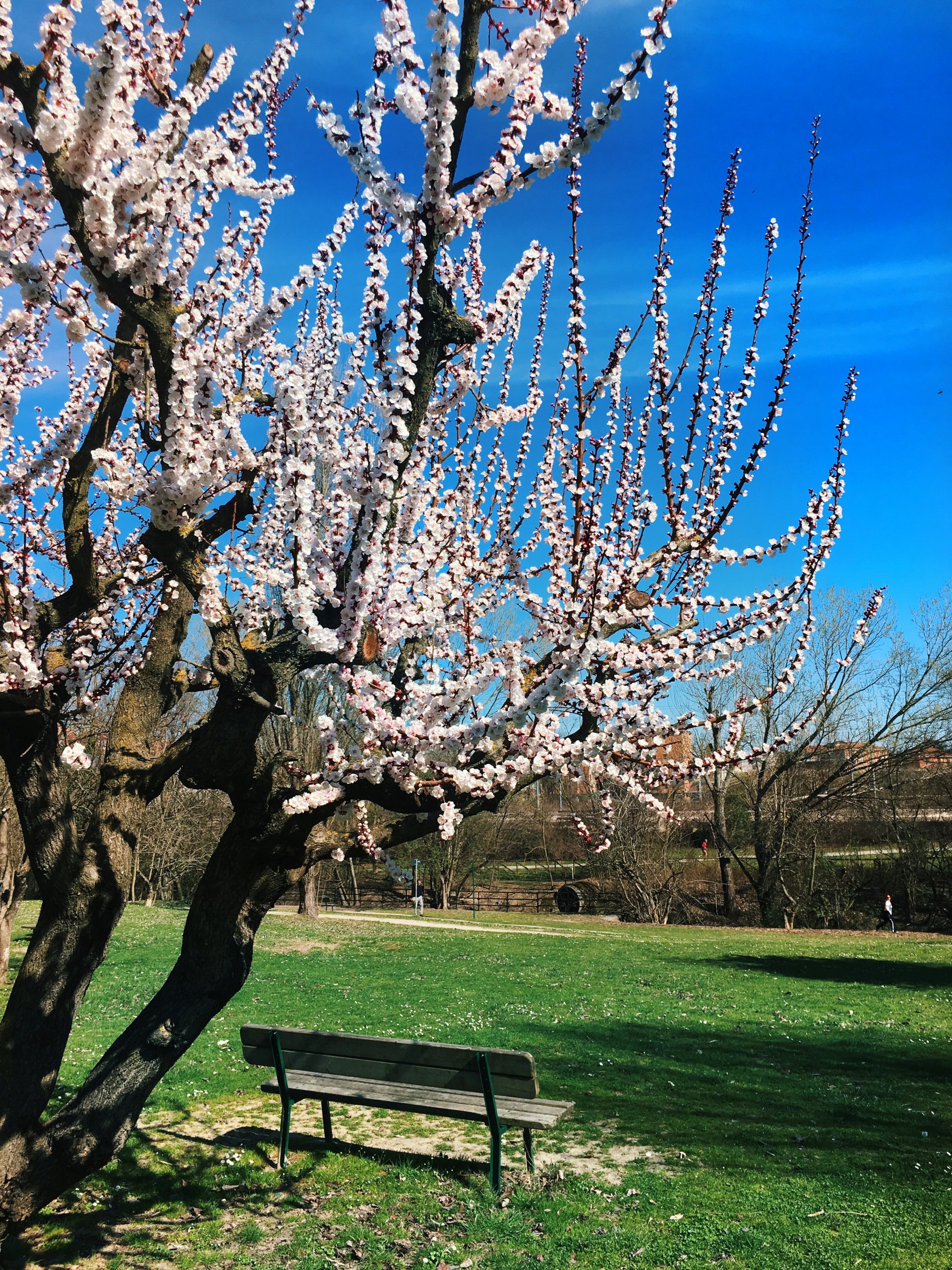 Parco Villa Angeletti Bologna