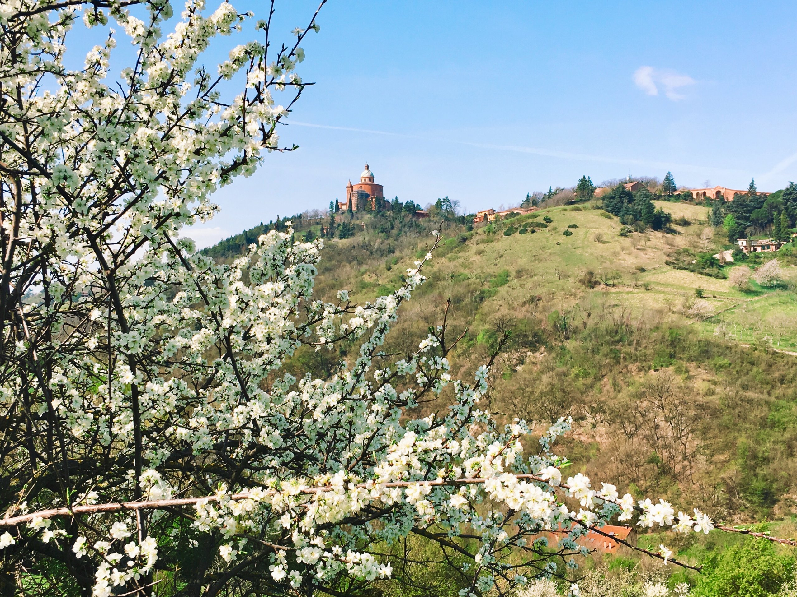 Parco del Pellegrino Bologna