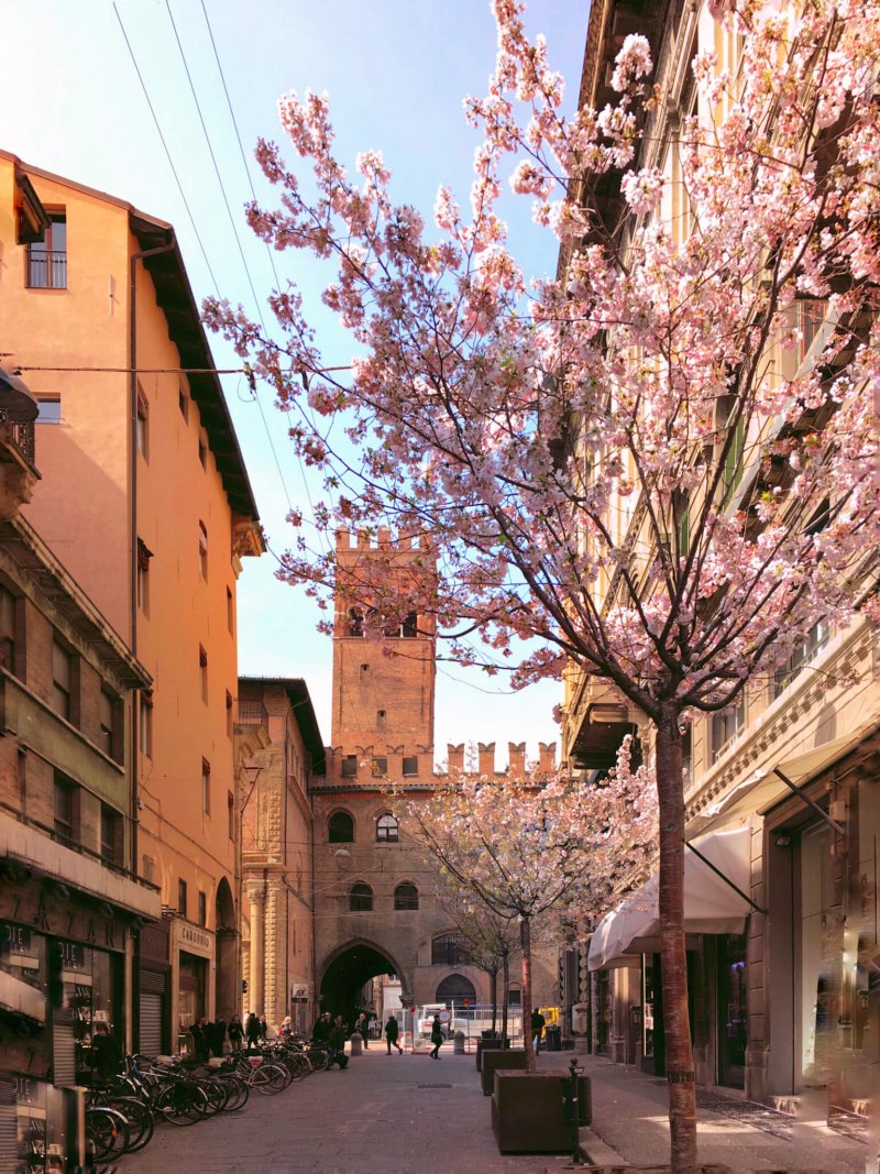 Via degli Orefici Bologna