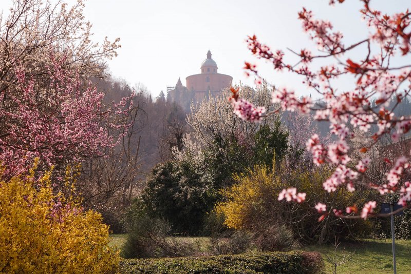 Bologna in primavera